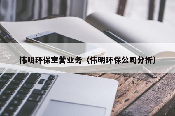 伟明环保主营业务（伟明环保公司分析）