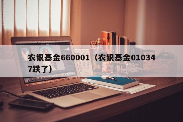 农银基金660001（农银基金010347跌了）