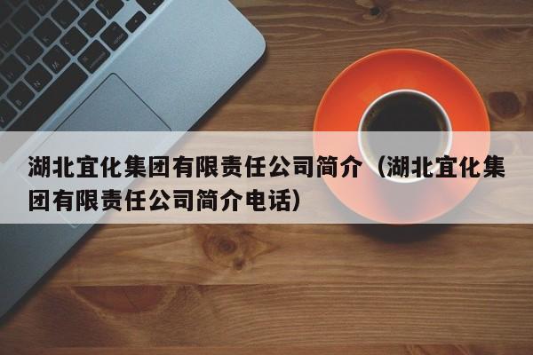 湖北宜化集团有限责任公司简介（湖北宜化集团有限责任公司简介电话）