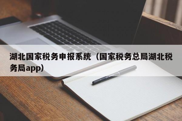 湖北国家税务申报系统（国家税务总局湖北税务局app）