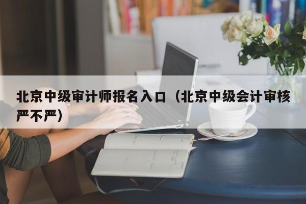 北京中级审计师报名入口（北京中级会计审核严不严）