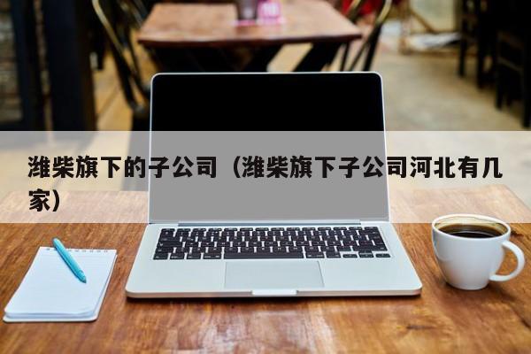 潍柴旗下的子公司（潍柴旗下子公司河北有几家）