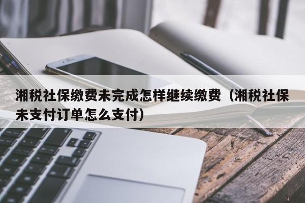 湘税社保缴费未完成怎样继续缴费（湘税社保未支付订单怎么支付）