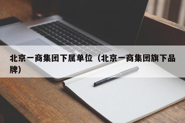 北京一商集团下属单位（北京一商集团旗下品牌）