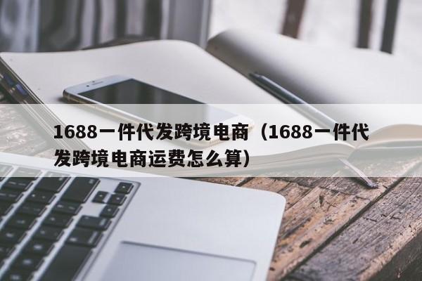 1688一件代发跨境电商（1688一件代发跨境电商运费怎么算）