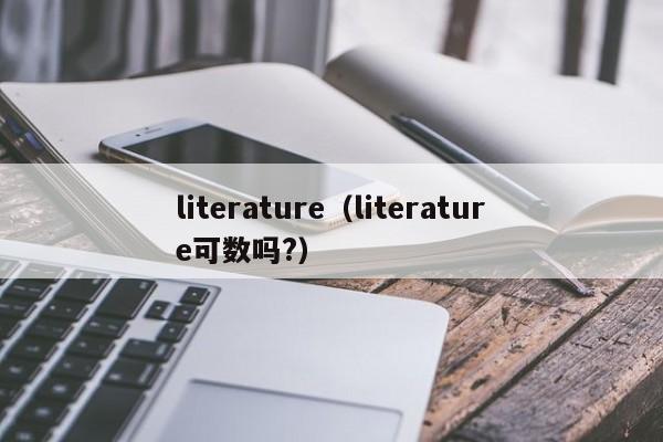 literature（literature可数吗?）