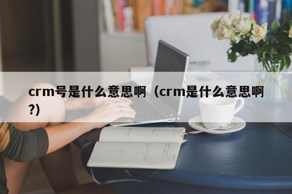 crm号是什么意思啊（crm是什么意思啊?）