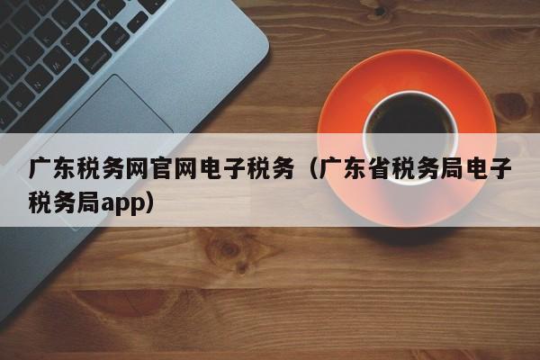 广东税务网官网电子税务（广东省税务局电子税务局app）