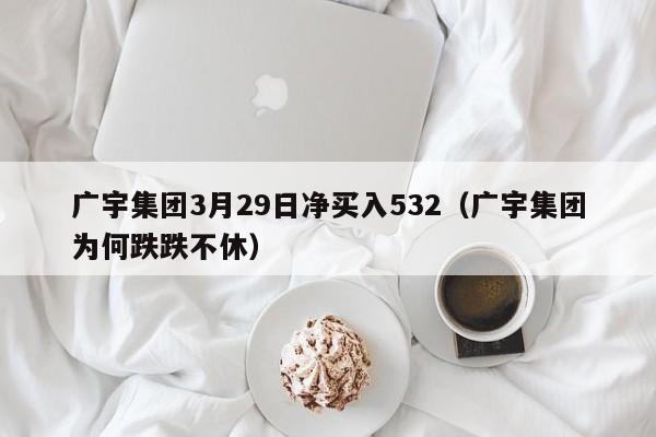 广宇集团3月29日净买入532（广宇集团为何跌跌不休）