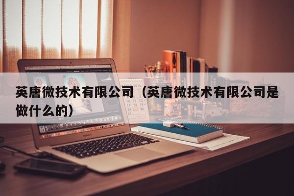 英唐微技术有限公司（英唐微技术有限公司是做什么的）