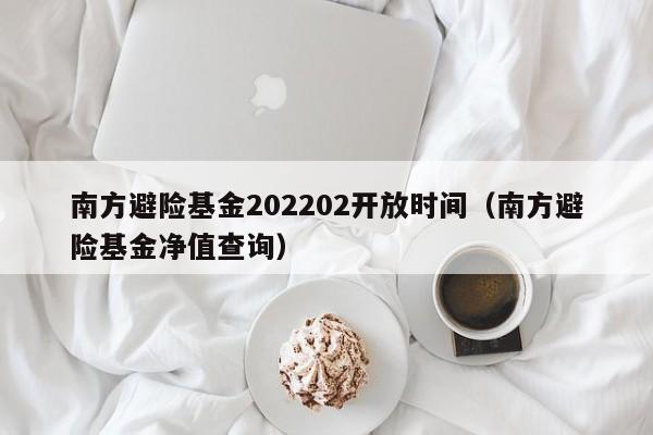 南方避险基金202202开放时间（南方避险基金净值查询）