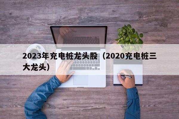 2023年充电桩龙头股（2020充电桩三大龙头）