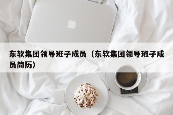 东软集团领导班子成员（东软集团领导班子成员简历）