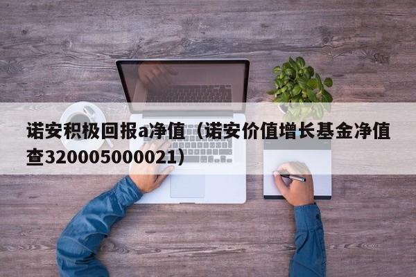 诺安积极回报a净值（诺安价值增长基金净值查320005000021）