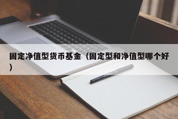 固定净值型货币基金（固定型和净值型哪个好）