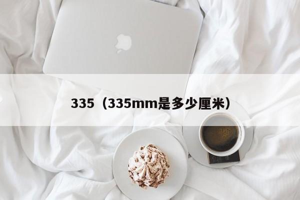 335（335mm是多少厘米）