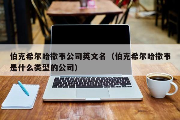 伯克希尔哈撒韦公司英文名（伯克希尔哈撒韦是什么类型的公司）