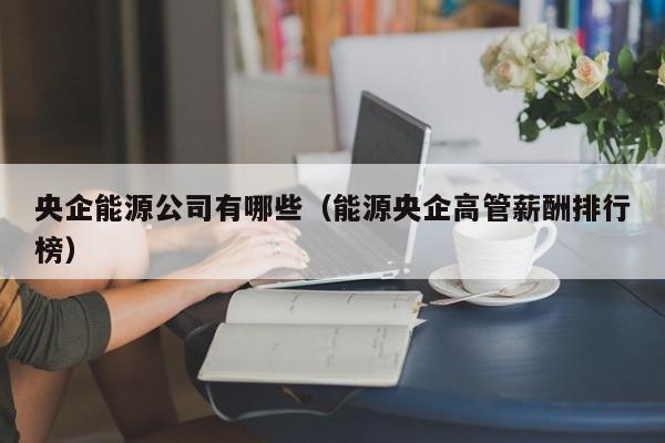 央企能源公司有哪些（能源央企高管薪酬排行榜）