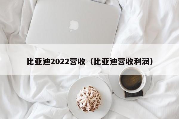 比亚迪2022营收（比亚迪营收利润）